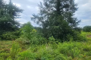 6560 University Pkwy, Rural Hall, NC 27045 - Photo 1