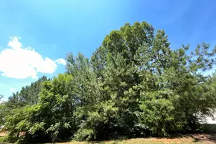 154 Colonial Trail Ct, Pittsboro, NC 27312 - Photo 1