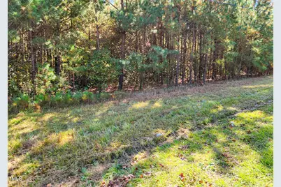 Tract 1A Abattoir Road, Coats, NC 27521 - Photo 1