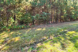 Tract 1A Abattoir Rd, Coats, NC 27521 - Photo 1