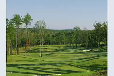 210 Bur Oak Court, Pittsboro, NC 27312 - Photo 1