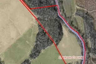 616 Bowen Rd, Rougemont, NC 27572 - Photo 1