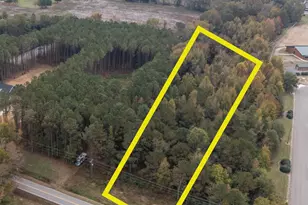 140 Dogeye Rd, Benson, NC 27504 - Photo 1