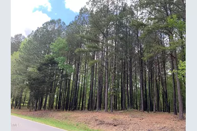 1388 Henry Oldham Road, Bear Creek, NC 27207 - Photo 1