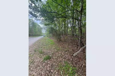Lot 3 New Chestnut Drive Drive, Rougemont, NC 27572 - Photo 1