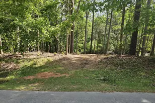 117 Tishomingo Dr, Louisburg, NC 27549 - Photo 1