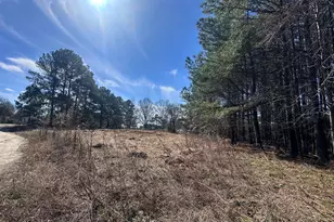 2700 Stevie Dr, Wendell, NC 27591 - Photo 1