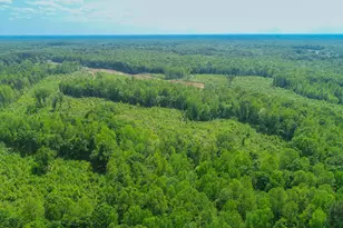 16710 Leasburg Rd, Roxboro, NC 27574 - Photo 1