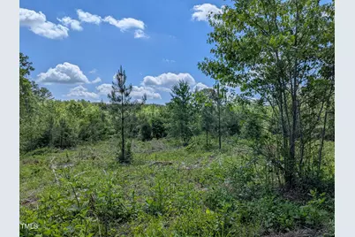 0 Cypress Creek Drive, Louisburg, NC 27549 - Photo 1