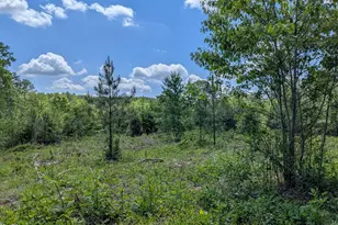 0 Cypress Creek Dr, Louisburg, NC 27549 - Photo 1