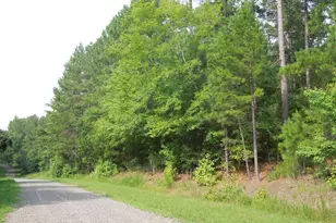 0 Webb Chapel Rd, Oxford, NC 27565 - Photo 1