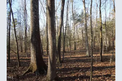 0 Noel Tuck Road, Oxford, NC 27565 - Photo 1