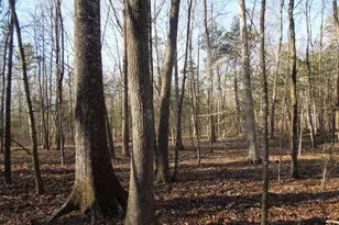 0 Noel Tuck Rd, Oxford, NC 27565 - Photo 1