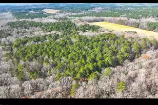 Lot 1 B Turkey Buzzard Ln, Pittsboro, NC 27312 - Photo 1
