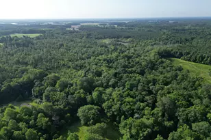 2135 Bakers Chapel Rd, Smithfield, NC 27577 - Photo 1