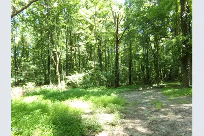 2764 Nc-98, Louisburg, NC 27549 - Photo 1