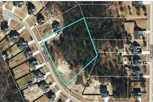 814 Juno Dr, Broadway, NC 27505 - Photo 1