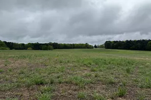 0 Stallings Mill Rd, Louisburg, NC 27549 - Photo 1