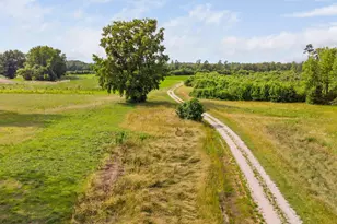 1390 Nick Coley Rd, Whitakers, NC 27891 - Photo 1