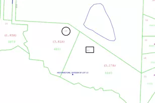 206 Heatherstone Ct, Benson, NC 27504 - Photo 1