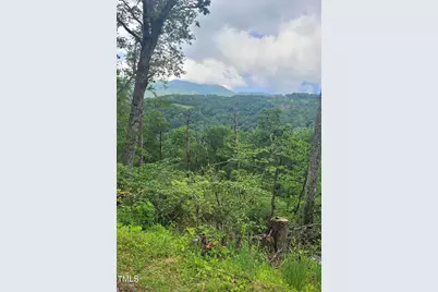 266 Little Sugar Lane, Sugar Mountain, NC 28604 - Photo 1