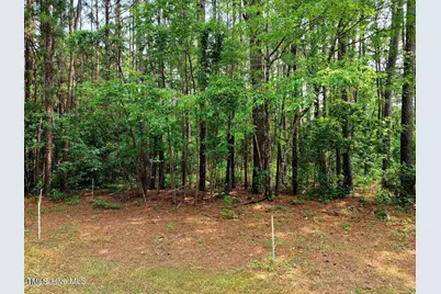 1 Myrtle Road, Roseboro, NC 28382 - Photo 1
