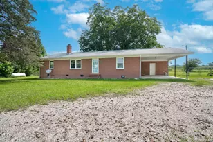 1308 Tyson Loop Rd, Spring Hope, NC 27882 - Photo 1