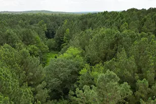 3097 NC-87, Pittsboro, NC 27312 - Photo 1