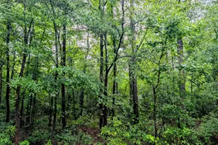 7877 Lucinda Ln, Linden, NC 28356 - Photo 1