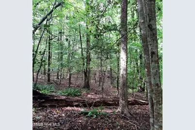 0 Bowden Road, Spring Hope, NC 27882 - Photo 1