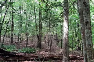 0 Bowden Rd, Spring Hope, NC 27882 - Photo 1