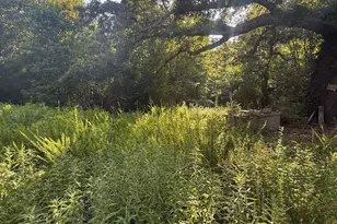 1111 Embro-Vaughn Rd, Macon, NC 27551 - Photo 1