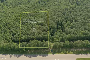 13373 N Roxboro St, Rougemont, NC 27572 - Photo 1