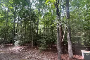 2064 Falling Stream, Sanford, NC 27332 - Photo 1