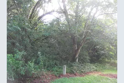 000 Elm Street Street, Norlina, NC 27563 - Photo 1