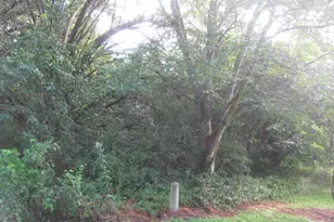 000 Elm Street St, Norlina, NC 27563 - Photo 1