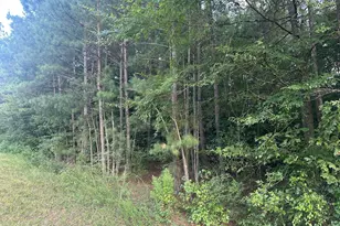 0 Sledge Rd, Bunn, NC 27508 - Photo 1