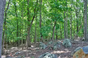 148 Lookout Rdg Wy, Rougemont, NC 27572 - Photo 1