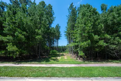 247 Larkington Drive, Siler City, NC 27344 - Photo 1