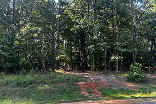 119 Mayan Dr Dr, Louisburg, NC 27549 - Photo 1