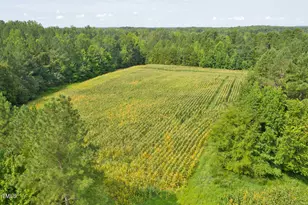 003 Sam Blackwell Rd, Oxford, NC 27565 - Photo 1