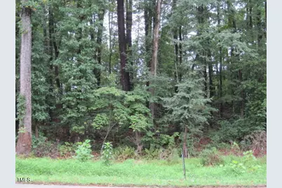 214 Shawnee Drive, Louisburg, NC 27549 - Photo 1