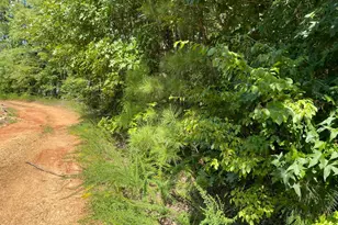 00 Big Run Creek Ln, Henderson, NC 27537 - Photo 1