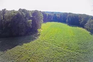 928 S Wall St, Benson, NC 27504 - Photo 1