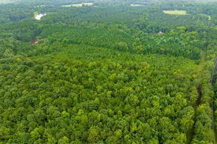 1545 Alex Cockman Rd, Pittsboro, NC 27312 - Photo 1