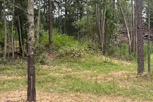 505 Chesley Ln, Lillington, NC 27546 - Photo 1