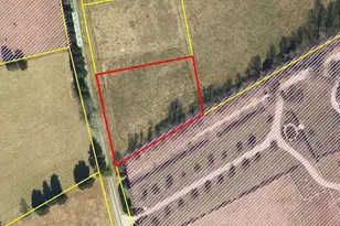 0 Ben Wilson Rd, Mebane, NC 27302 - Photo 1