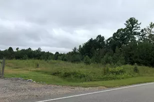 Lot 1 Brewer Rd, Louisburg, NC 27549 - Photo 1