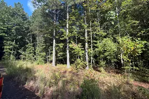 1658 Garrett Farm Rd, Stem, NC 27581 - Photo 1