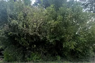 252 E Front St, Clayton, NC 27520 - Photo 1